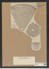 Aulacodiscus margaritaceus var. elongatus Rattr. (de-Toni-Nr.: Genus 182, Species 4515) Zeichnungen Sammlung Grunow Nr. 8093 (NHMW-BOT-W0377428)